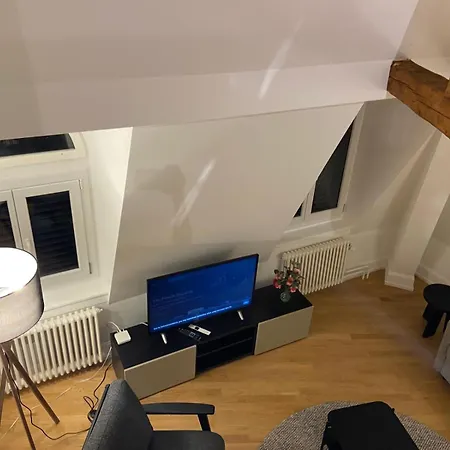 Apartment 3 Bedroom Duplex In Wiedikon *