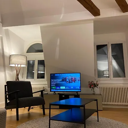 Apartment 3 Bedroom Duplex In Wiedikon