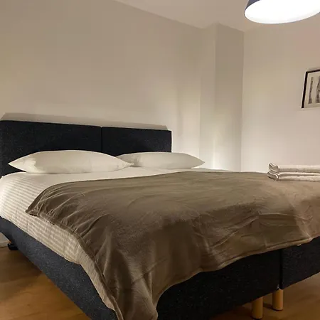 3 Bedroom Duplex In Wiedikon *