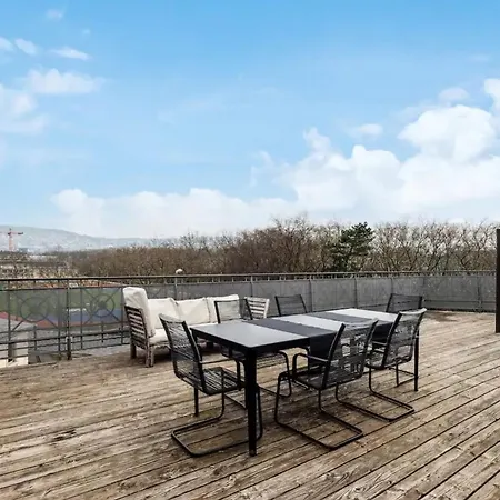 3 Bedroom Duplex In Wiedikon *