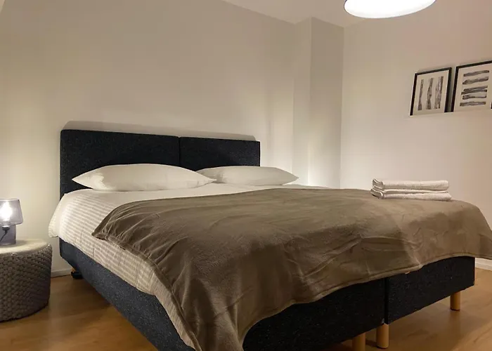 3 Bedroom Duplex In Wiedikon *