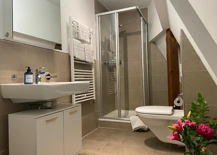 3 Bedroom Duplex In Wiedikon