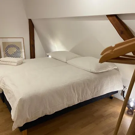 3 Bedroom Duplex In Wiedikon