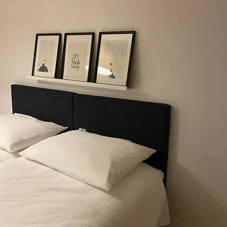 Apartament 3 Bedroom Duplex In Wiedikon *