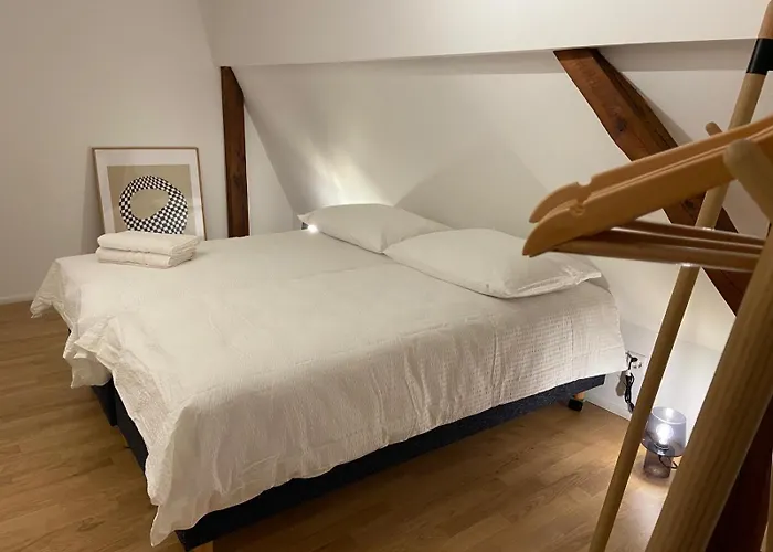 3 Bedroom Duplex In Wiedikon