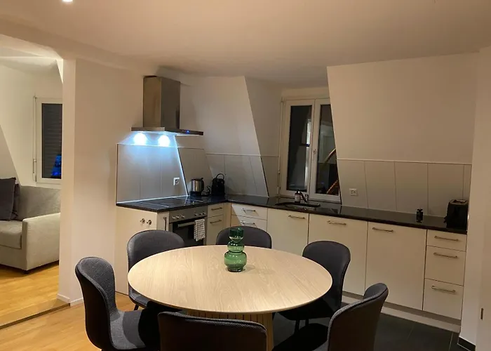 3 Bedroom Duplex In Wiedikon * زيورخ