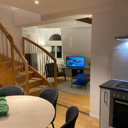 3 Bedroom Duplex In Wiedikon *