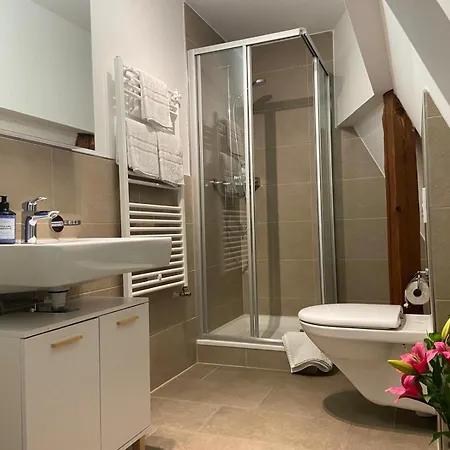 3 Bedroom Duplex In Wiedikon