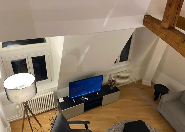 Daire 3 Bedroom Duplex In Wiedikon *